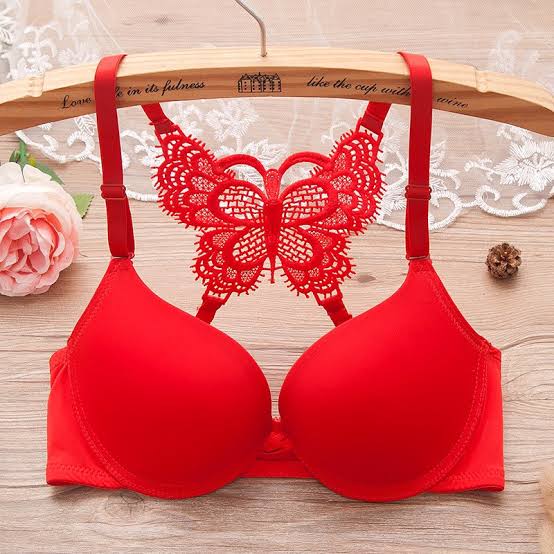 Butterfly Style Padded Lingerie Set with Front Hook (SPBS 0081)7