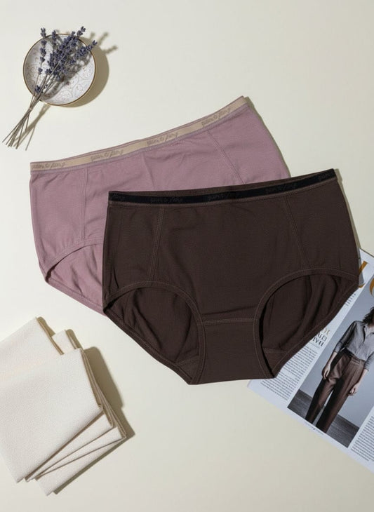 2 Piece Elegant Cotton Blend Panty for Women – Comfort Fit Daily Underwear
