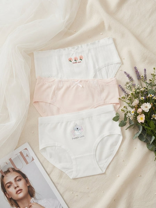Plus Size Soft Cotton Panty Pack in Pakistan – Safaa.pk