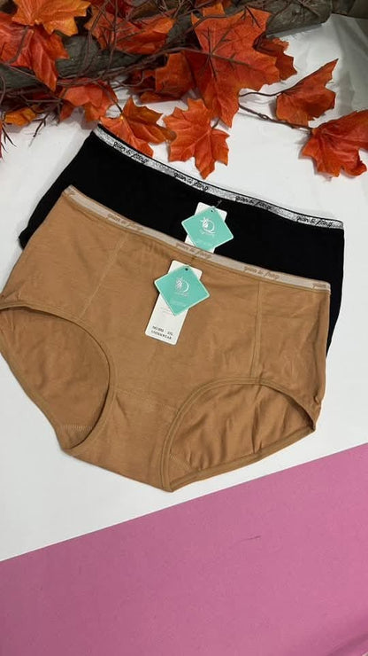 2 Piece Elegant Cotton Blend Panty for Women – Comfort Fit Daily Underwear