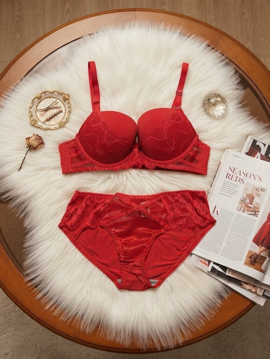 Embroidered Lace Lingerie Set in Pakistan – Safaa.pk