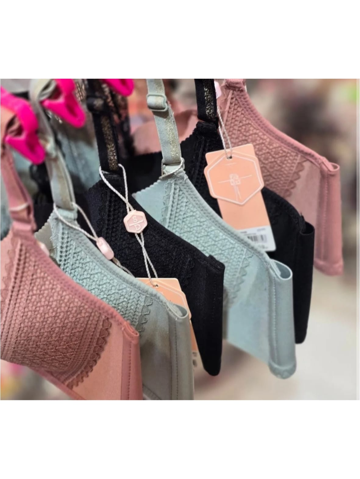 Front Open Lace Padded Bra in Pakistan – Safaa.pk