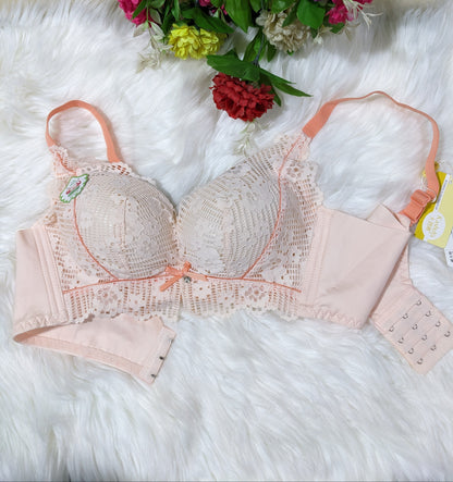 Soft Thin Pad Bra (SPB 007)