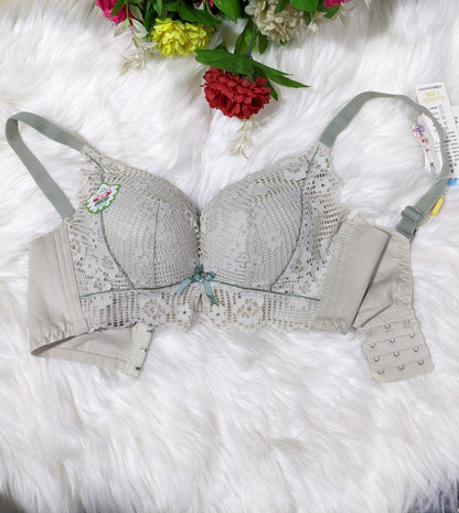 Soft Thin Pad Bra (SPB 007)