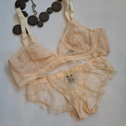 High Quality Net Bra Penty Set (Nbs 001)