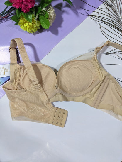 Top-Quality Single Padded Bra (CS 012)